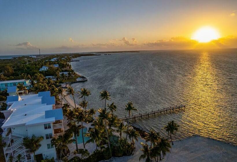 استودیوی لوکس, Grassy Flats Resort & Beach Club