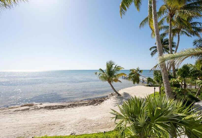 استودیوی استاندارد با چشم‌انداز دریا, Grassy Flats Resort & Beach Club