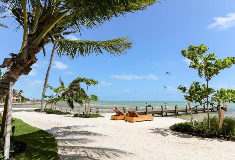 استودیوی لوکس, Grassy Flats Resort & Beach Club