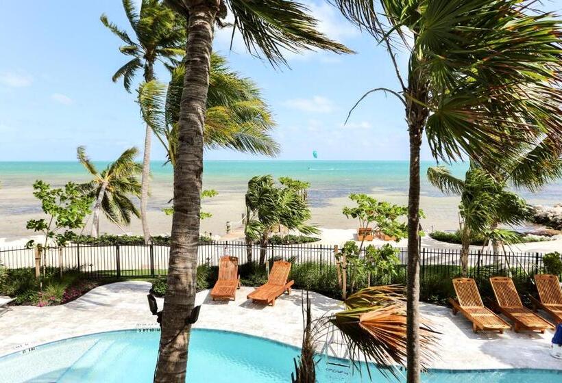 استودیوی لوکس, Grassy Flats Resort & Beach Club