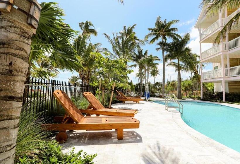 استودیوی لوکس, Grassy Flats Resort & Beach Club