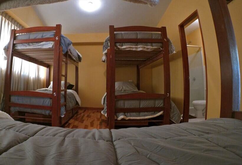 تختخواب در اتاق مشترک, El Parche Rutero Hostel