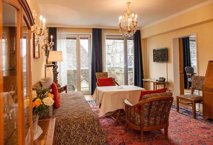 آپارتمان لوکس 1 خوابه, Pension Sacher   Apartments Am Stephansplatz