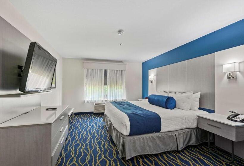 اتاق استاندارد با تخت بزرگ, Best Western Plus Lake Lanier Gainesville Hotel & Suites