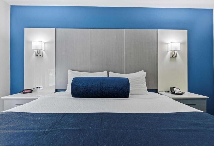 Chambre Standard Lit King Size, Best Western Plus Lake Lanier Gainesville  And Suites