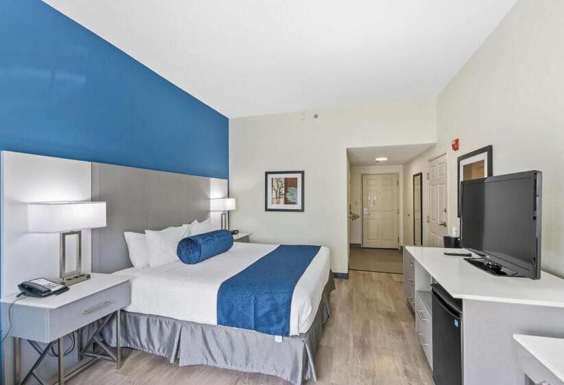 اتاق استاندارد با تخت بزرگ برای معلولان, Best Western Plus Lake Lanier Gainesville Hotel & Suites