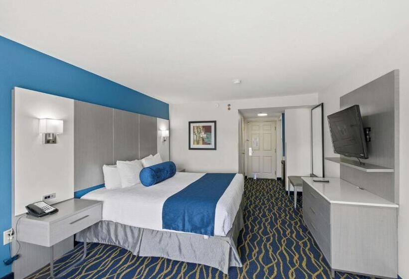 اتاق استاندارد با تخت بزرگ, Best Western Plus Lake Lanier Gainesville Hotel & Suites