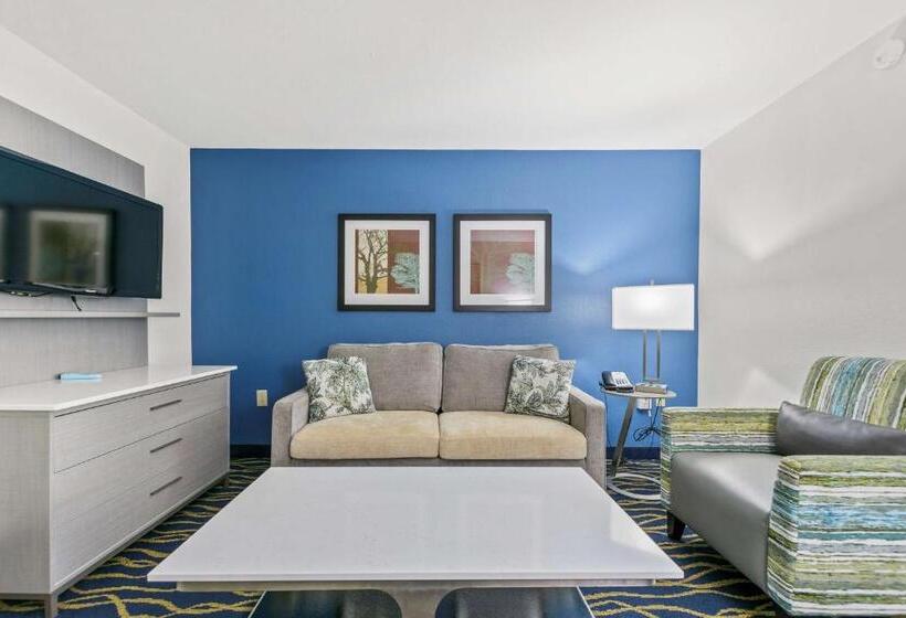 سوئیت با تخت بزرگ, Best Western Plus Lake Lanier Gainesville Hotel & Suites