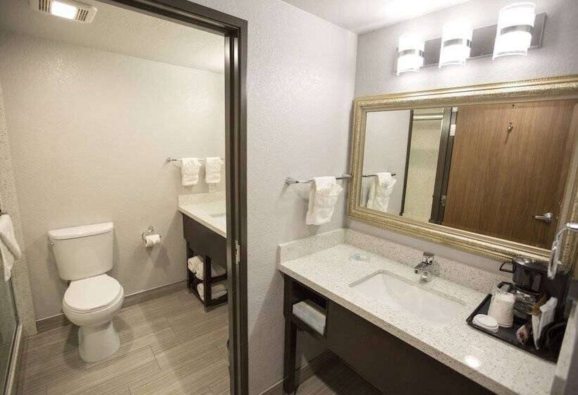 اتاق استاندارد با تخت دوبل, Amanzi Hotel, Ascend Hotel Collection