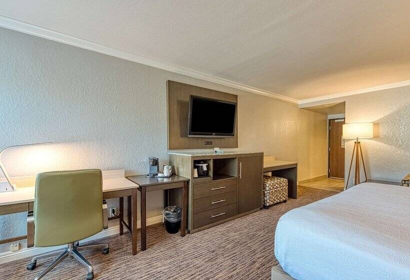 اتاق استاندارد با تخت دوبل, Amanzi Hotel, Ascend Hotel Collection