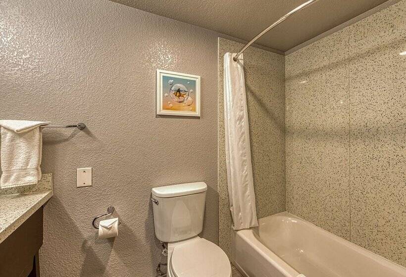 اتاق استاندارد با 2 تخت دوبل, Amanzi Hotel, Ascend Hotel Collection