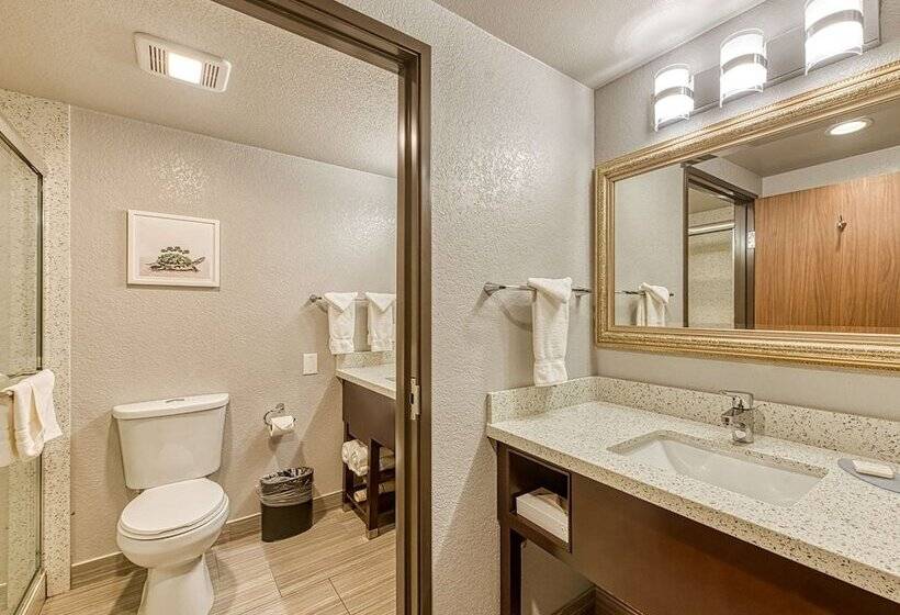 اتاق استاندارد با تخت دوبل, Amanzi Hotel, Ascend Hotel Collection