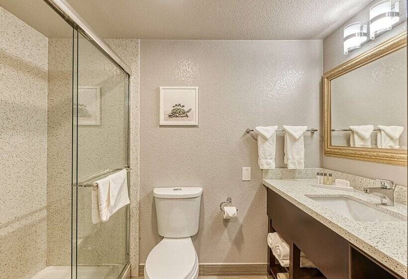اتاق استاندارد با تخت دوبل, Amanzi Hotel, Ascend Hotel Collection