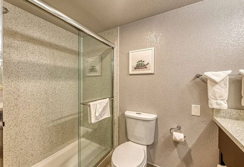 اتاق استاندارد با تخت دوبل, Amanzi Hotel, Ascend Hotel Collection