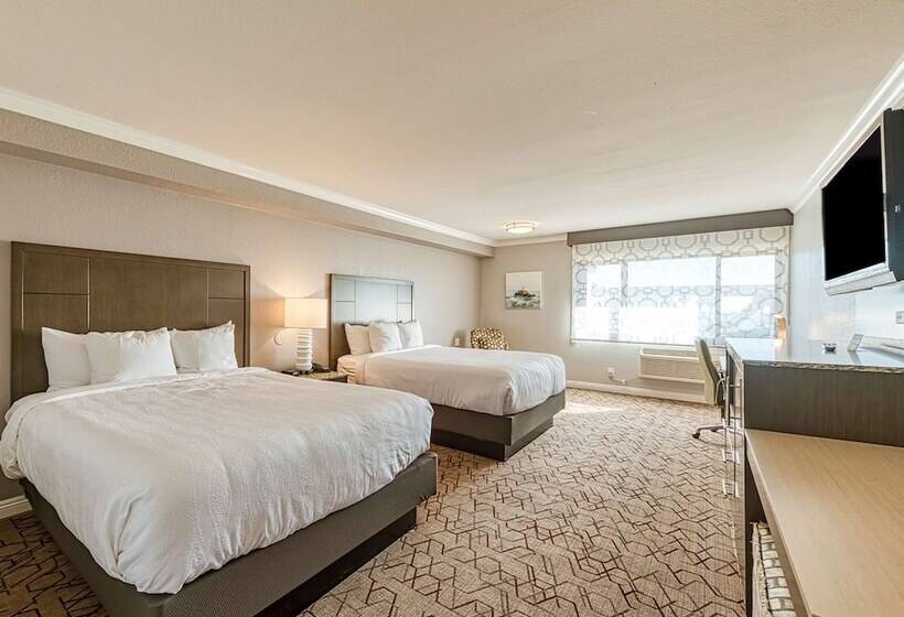 اتاق استاندارد با 2 تخت دوبل, Amanzi Hotel, Ascend Hotel Collection