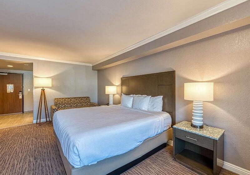 اتاق استاندارد با تخت بزرگ برای معلولان, Amanzi Hotel, Ascend Hotel Collection
