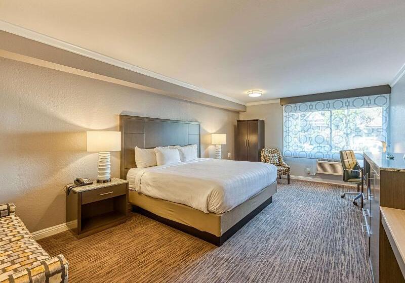 اتاق استاندارد با تخت بزرگ برای معلولان, Amanzi Hotel, Ascend Hotel Collection