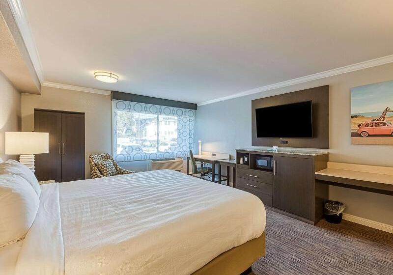 اتاق استاندارد با تخت بزرگ برای معلولان, Amanzi Hotel, Ascend Hotel Collection