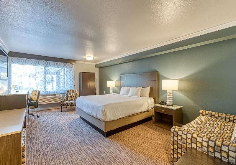 اتاق استاندارد برای معلولان, Amanzi Hotel, Ascend Hotel Collection
