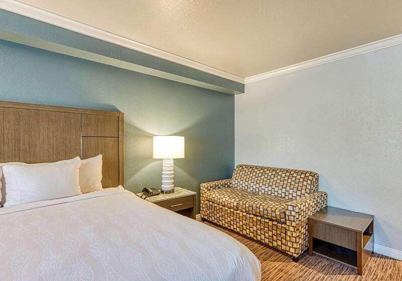 اتاق استاندارد برای معلولان, Amanzi Hotel, Ascend Hotel Collection
