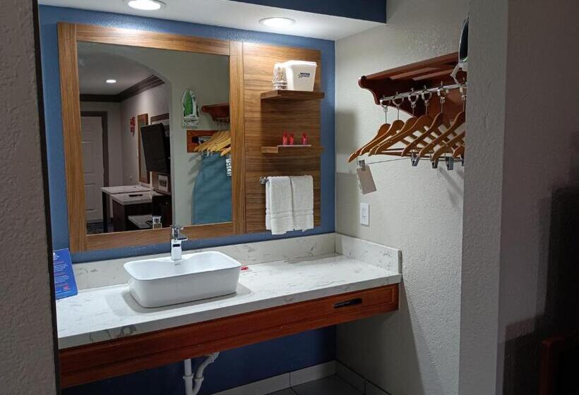 带大床的标准间, Americas Best Value Inn & Suites Alvin/houston