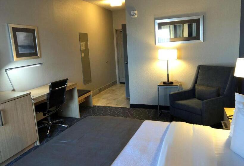 اتاق استاندارد با تخت بزرگ, Best Western Eau Claire South