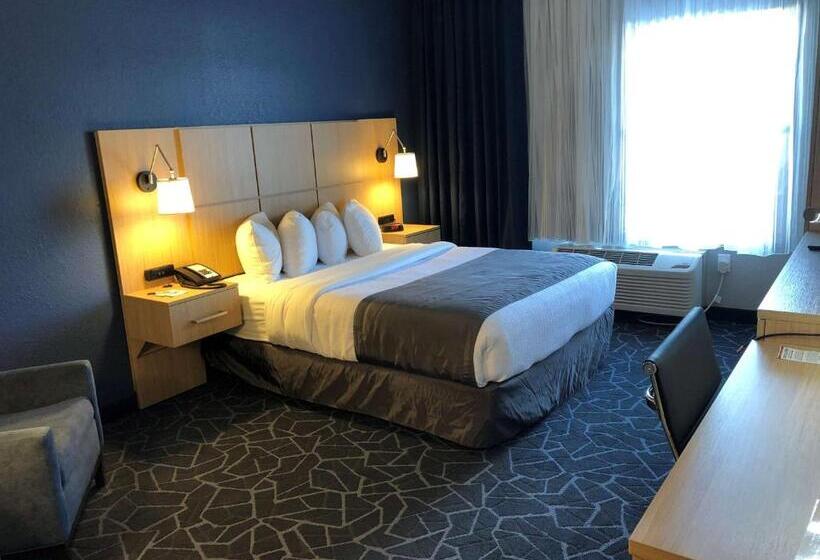 Standaardkamer met Queensize Bed Aangepast voor Gehandicapten, Best Western Eau Claire South