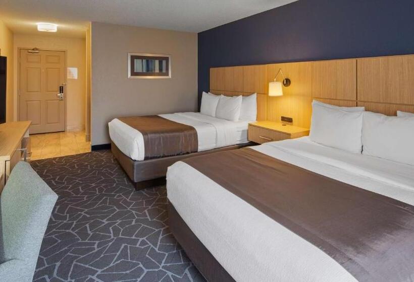 Chambre Standard Adaptée aux Personnes à Mobilité Réduite, Best Western Eau Claire South