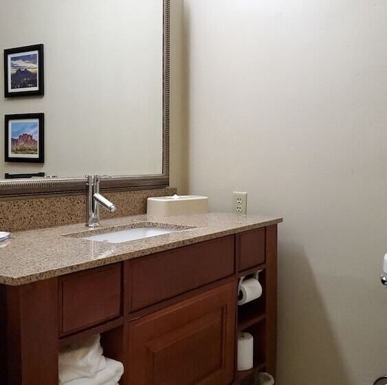 Suite, Comfort Inn & Suites Tempe Phoenix Sky Harbor Airport