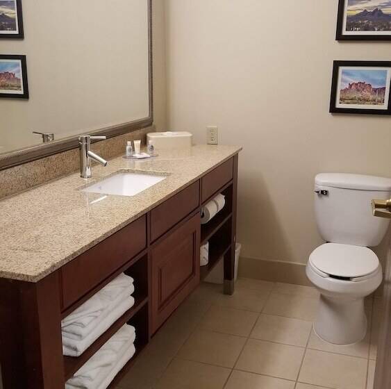 Suite, Comfort Inn & Suites Tempe Phoenix Sky Harbor Airport