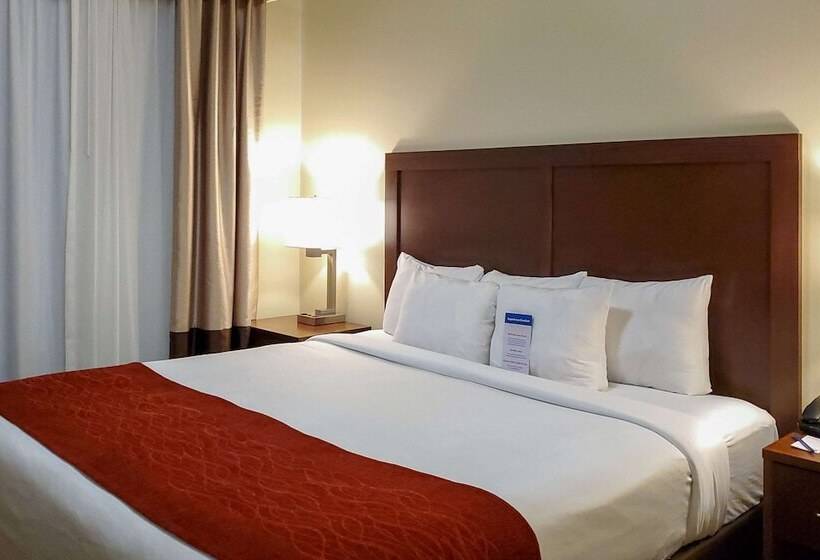 스위트, Comfort Inn & Suites Tempe Phoenix Sky Harbor Airport