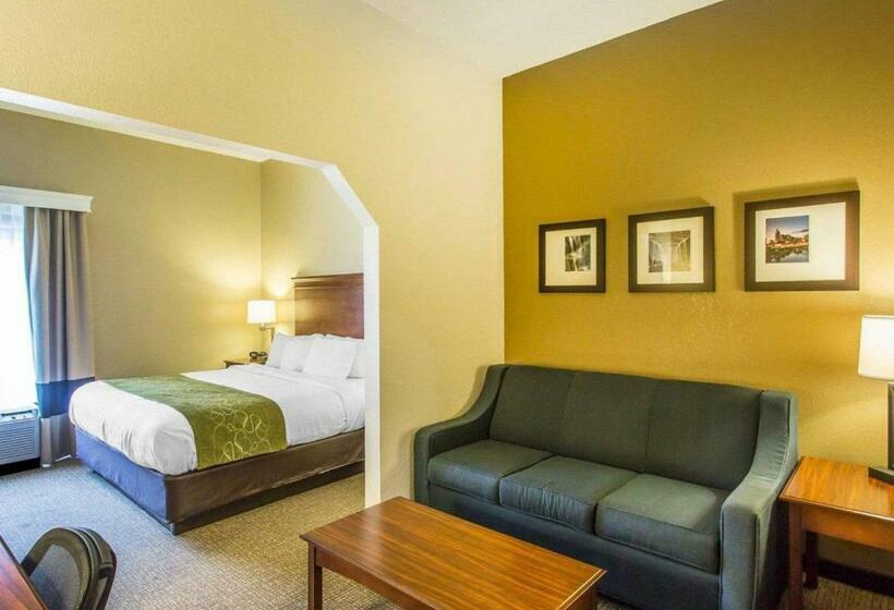 מיטת קינג בסוויטה, Comfort Suites Cookeville