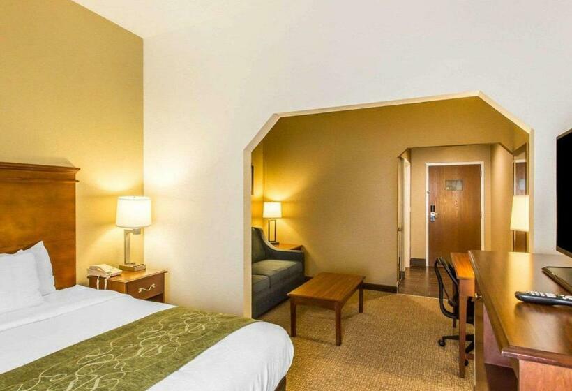 キングサイズベッドのスイートルーム, Comfort Suites Cookeville