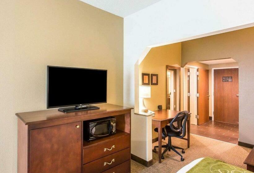 キングサイズベッドのスイートルーム, Comfort Suites Cookeville