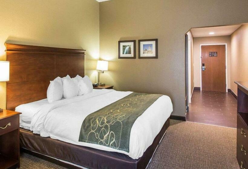 キングサイズベッドのスイートルーム, Comfort Suites Cookeville