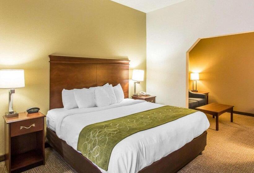 キングサイズベッドのスイートルーム, Comfort Suites Cookeville
