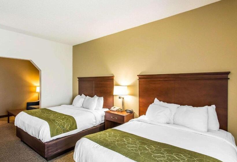 חדר סטנדרט, Comfort Suites Cookeville