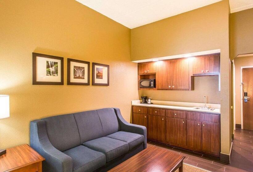 חדר סטנדרט, Comfort Suites Cookeville