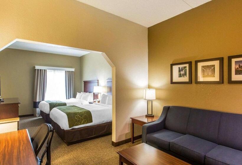 スタンダードルーム, Comfort Suites Cookeville