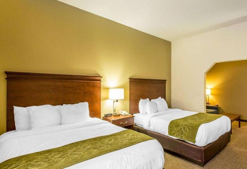 スタンダードルーム, Comfort Suites Cookeville
