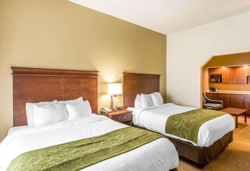 חדר סטנדרט, Comfort Suites Cookeville