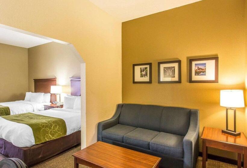 スタンダードルーム, Comfort Suites Cookeville