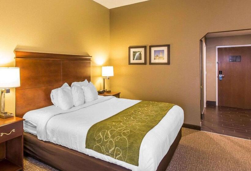 キングサイズベッドのスイートルーム, Comfort Suites Cookeville
