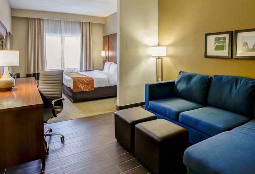 Suite, Comfort Suites Georgetown