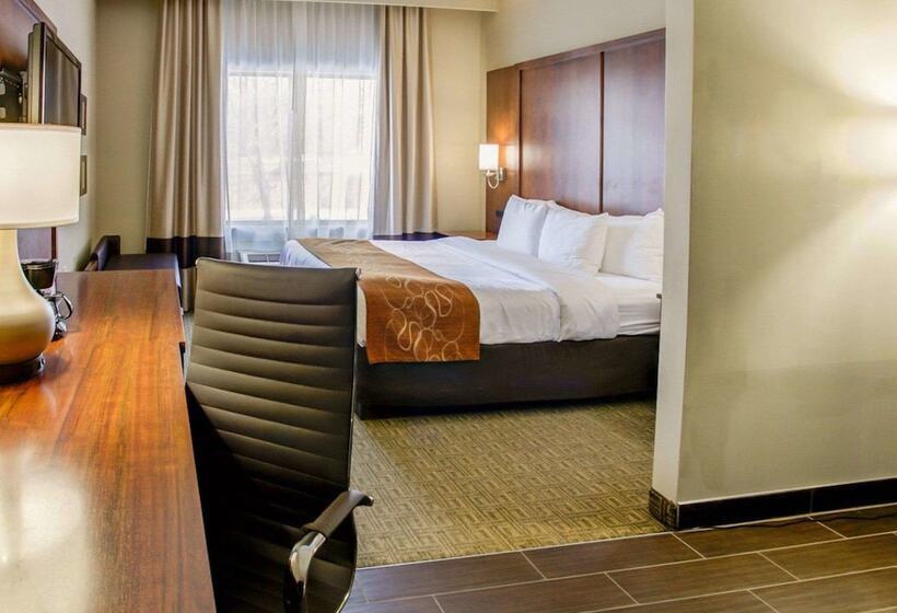 سوییت, Comfort Suites Georgetown