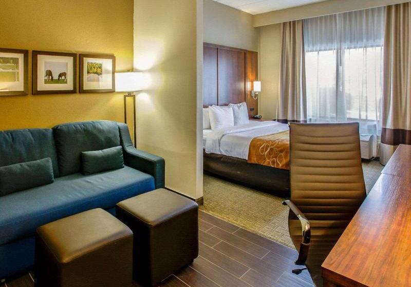 اتاق استاندارد با تخت بزرگ, Comfort Suites Georgetown