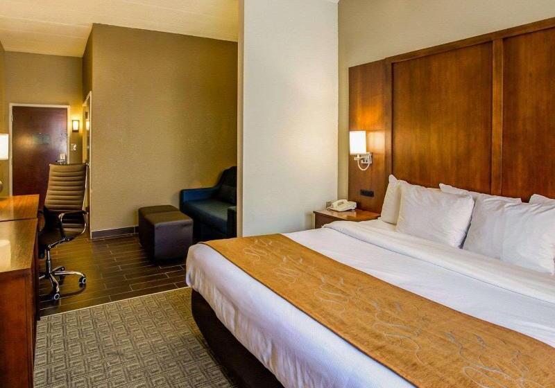 اتاق استاندارد با تخت بزرگ, Comfort Suites Georgetown