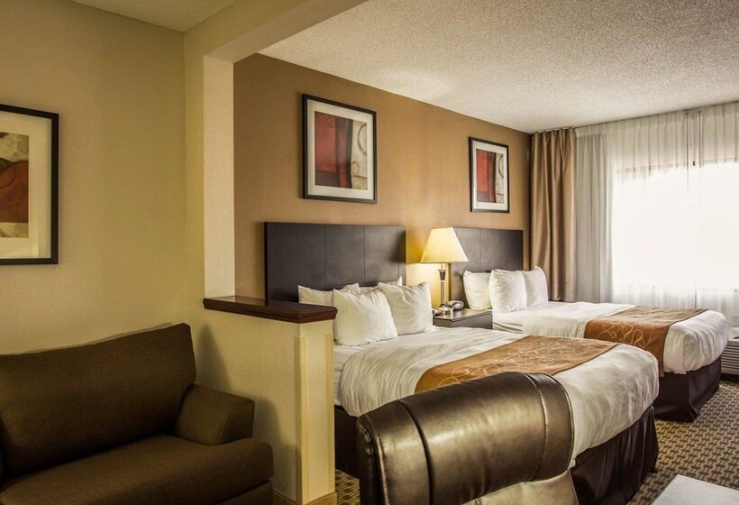 Suite, Comfort Suites