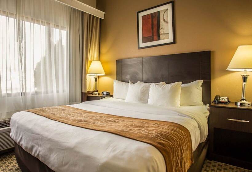 سوییت, Comfort Suites