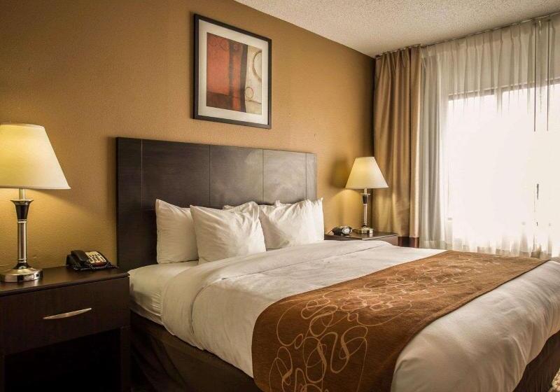 سوئیت با تخت بزرگ, Comfort Suites